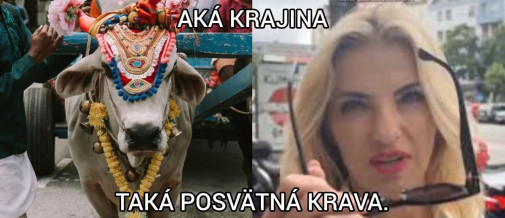 ART-iná