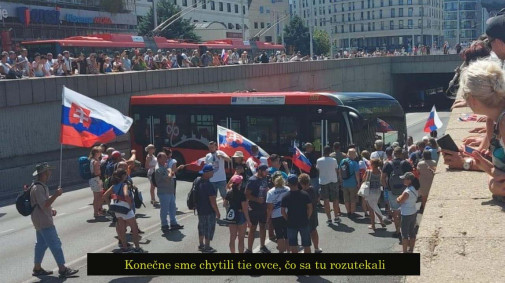 Ovce